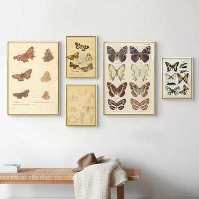 Fluture Insectă Poster Vintage Papillons Imprimare Biologie Educație Pânză Picturi Artă de perete Poză Modernă Decorare cameră de studiu fără cadru