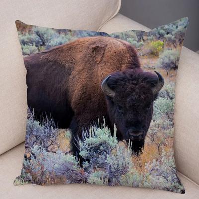 Federa per Cuscino Bisonte Selvatico Africano per Camera da Letto Divano Casa Auto Decorazione Cuscini Animali Federa Super Morbida in Peluche x