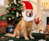 New Christmas and New Year Holiday Pet Hat Santa Claus Funny Hood Adjustable Pet Hood Transformation Outfit