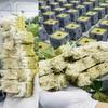 25x25x25mmSoilless Cultivation Seedling Pot Hydroponic Rockwool Plant Seed Germination Special Seedling Block50-100pcsEco-friend