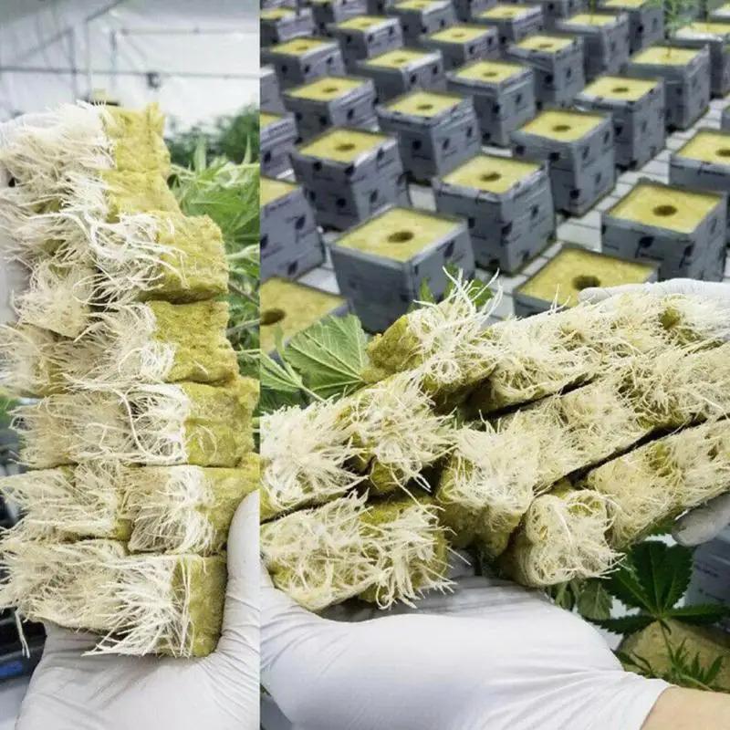 25x25x25mmSoilless Cultivation Seedling Pot Hydroponic Rockwool Plant Seed Germination Special Seedling Block50-100pcsEco-friend