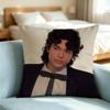Conan Gray B-Bedroom-Pop Pillow Case Square Double-Sided Sofa Cushion Cover Bedroom Bedside Pillow Gift