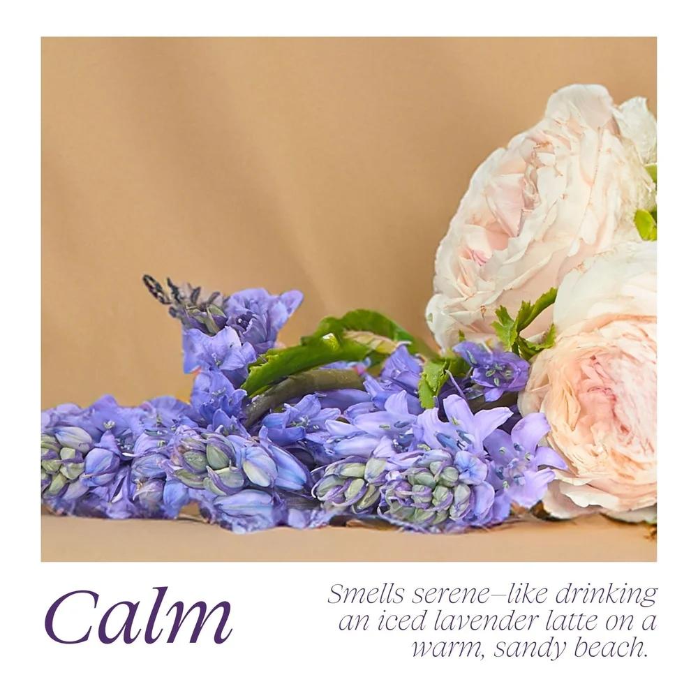 Plant-Based Dish Soap Calm Scent Concentrated Dishwashing Cleaner Gentle On Skin Removes Grease Stains Dishwasher Approved