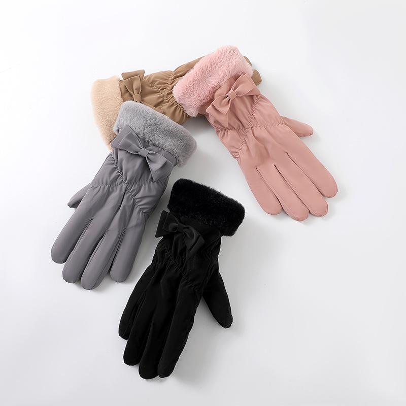 Winter Ladies Gloves Plus Velvet Padded Rainproof Gloves Outdoor Windproof and Cold Proof Warm Touch Screen