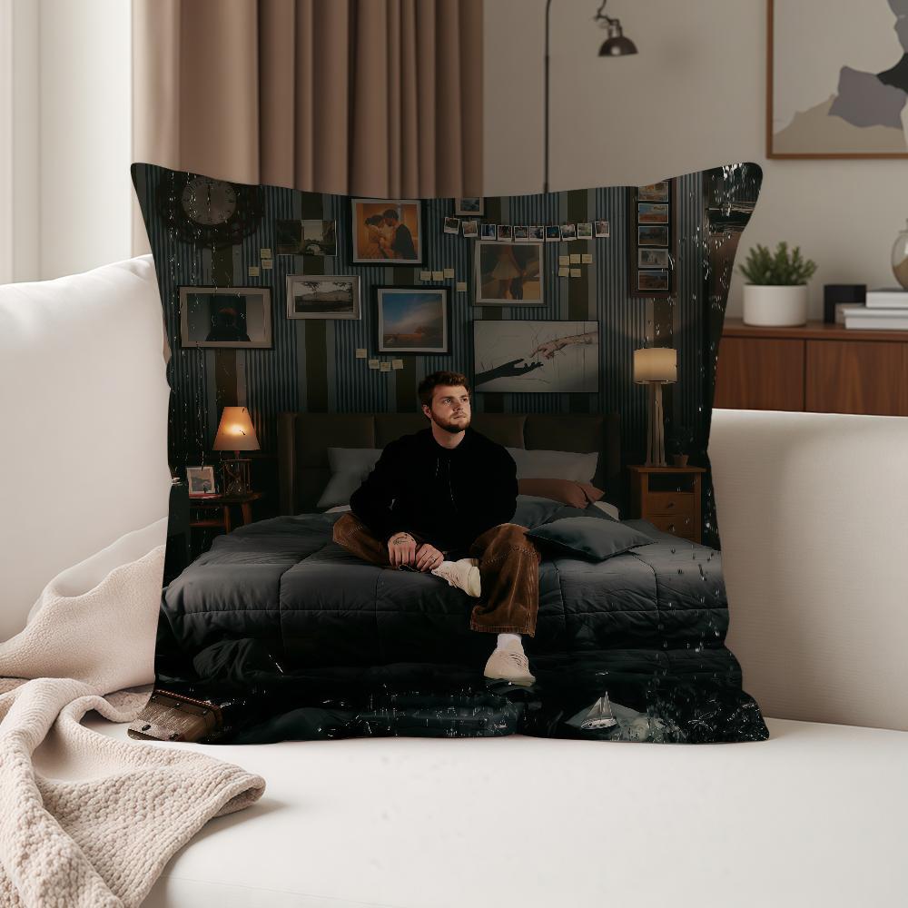 

American Singer Aalex Wwarren Pillow Case Suitable For Bedrooms Living Rooms Cars Home Decoration 30cmx30cm