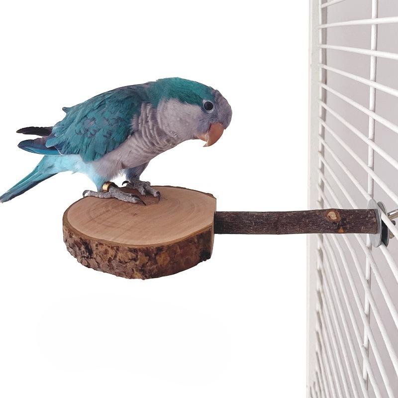 Papageienständer, Vogel Tischtennisplattform, Totoro Beißspielzeug, Apfelholz Sprungplattform, Eichhörnchen Holzständer, Gleitbeutler Sprungstange