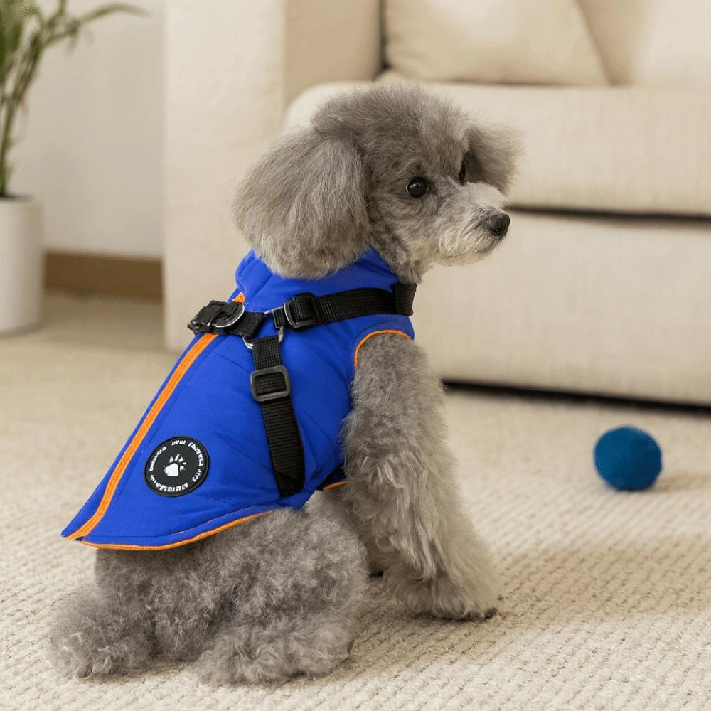 Puppy Outfit Adjustable Dogs Down Clothes Thicken Warm Dog Coat Windproof with Harness Dog Jacket Outdoor