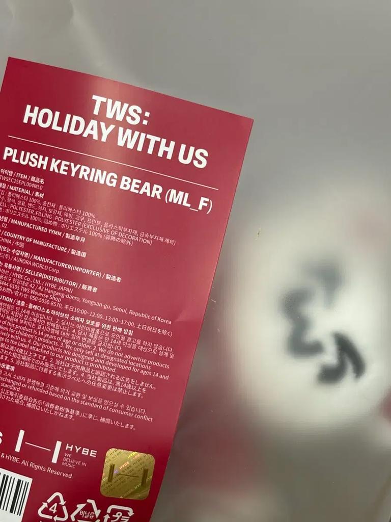 TWS Holiday Plus Keyring Bear