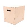 Wood Plyo Box 3-in-1 Combo