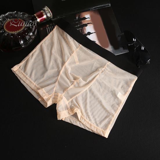 Tight Cut Boxer Briefs For Men Underwear Mid-rise Comfortable Fit High Elasticity Smooth Wiring Shorts Panties Lace Mesh Yarn Seamless