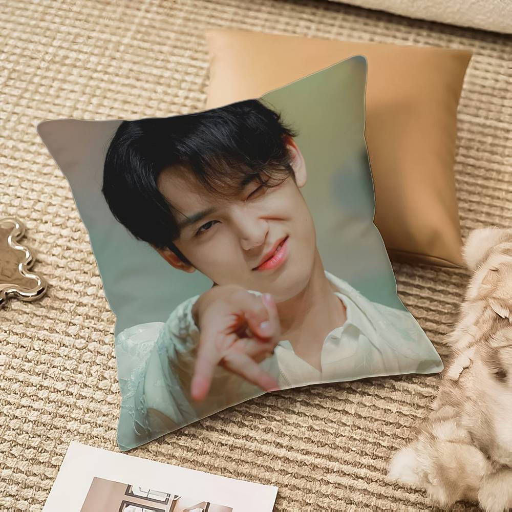 Наволочка Singer M-Mingyu Противопылевой клещ Невидимая молния Диван-кровать 12x12Inch