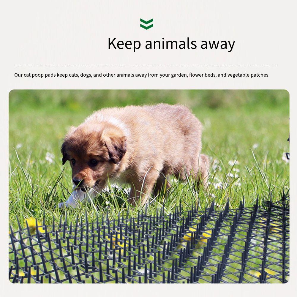 Network Anti-Cats Digging Stopper 2m/4m Cat Repellment Mat Durable Cat Scat Mat with Spikes Garden