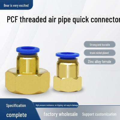 Raccordo pneumatico PCF12-04 filettato a connessione rapida per tubo dell'acqua per irrigazione zootecnica
