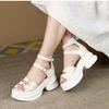 Black fashion Roman open-toed sandals women's spring 2025 new retro student outer wear Korean version of versatile thick sole