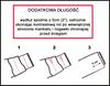 Kombinezon Narciarski Dziecięcy 110 Zimowy Termo Ocieplany Firi Fioletowy
