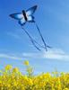 Beautiful Butterfly Kite Outdoor Games and Activities  Kite Kids