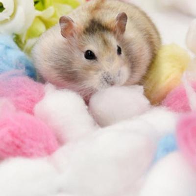 100 Teile/paket Winter Warm Halten Baumwolle Ball Kleine Haustier Niedlichen Käfig Haus Füllstoff Versorgung für Hamster Ratte