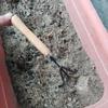 3PCS/Set Wooden Handle Mini Gardening Potted Tool Gardening Shovel Rake Fork Set for Houseplants Potted Plants