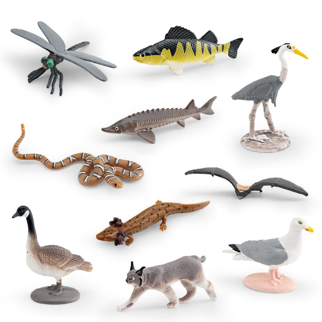 

Simulated Wild Animal Snake Dragonfly Salamander Sea Bass Model Ornament Set For Childrens Educational Toys