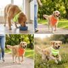 Reflective Dog Bandana Luminous Pet Neckerchief Soft Touch Dog Saliva Towel  Pet Grooming