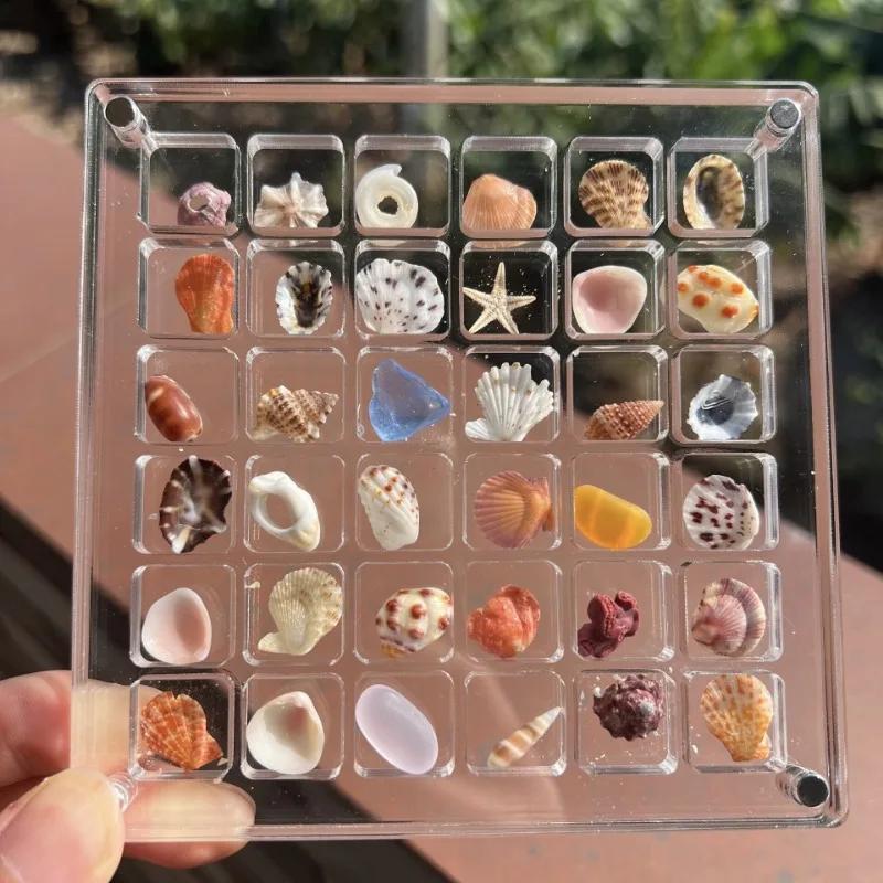 Acrylic Magnetic Seashell Display Box 36/64 Grids Diamond Storage Small Craft Organizers Compartment for Home Garden Decor