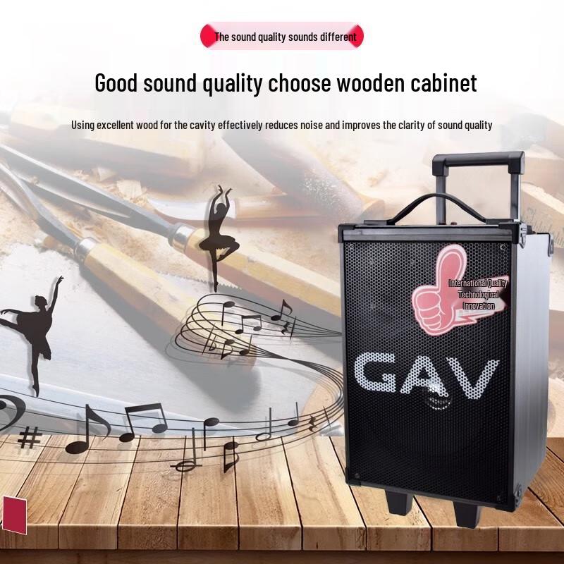 GAV K118 8-inch Portable Outdoor Speaker with Wireless Microphone