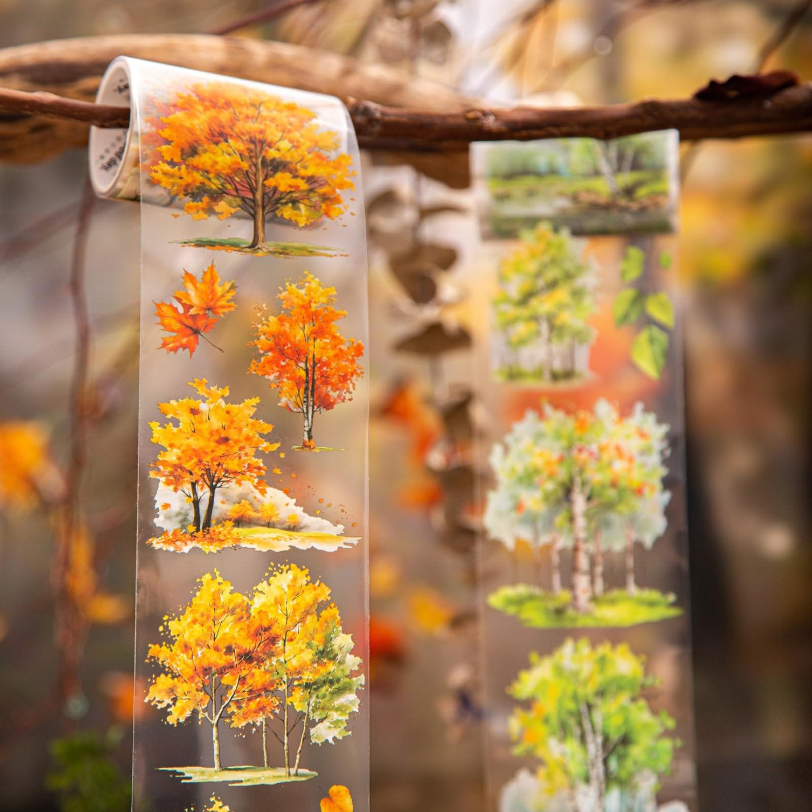 

Коллаж Дерево Кигофора 4 Сезонные Хлопья Лес 60 мм Широкий х 2 м Полупрозрачный ПЭТ Сделай Сам Планировщик Выпускной День Рождения Украсить Новые Наклейки с Водным Пейзажем,