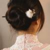 Acessórios para cabelo – Grampos de cabelo