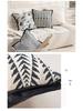 Modern Minimalist Light French Sofa Pillowcase for Living Room & Bedroom