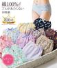 Nissen Regular Cotton Elastic Basic Size LL Shorts, 100% Print, Non-Slip, 10-Pack, Border,