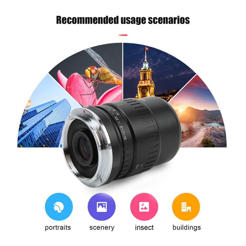 40mm APS C Macro 1X Large Manual Focus for Nikon Z Mount Cameras F2.8 Lens, Magnification, F2.8 Aperture, (ZFC, Z6, Z7, Z50, Z5, Z6II, Z7II, etc.)