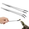 Pet Feeding Accessories: Straight and Curved Stainless Steel Tweezers with Rubber Tips for Aquarium Reptiles