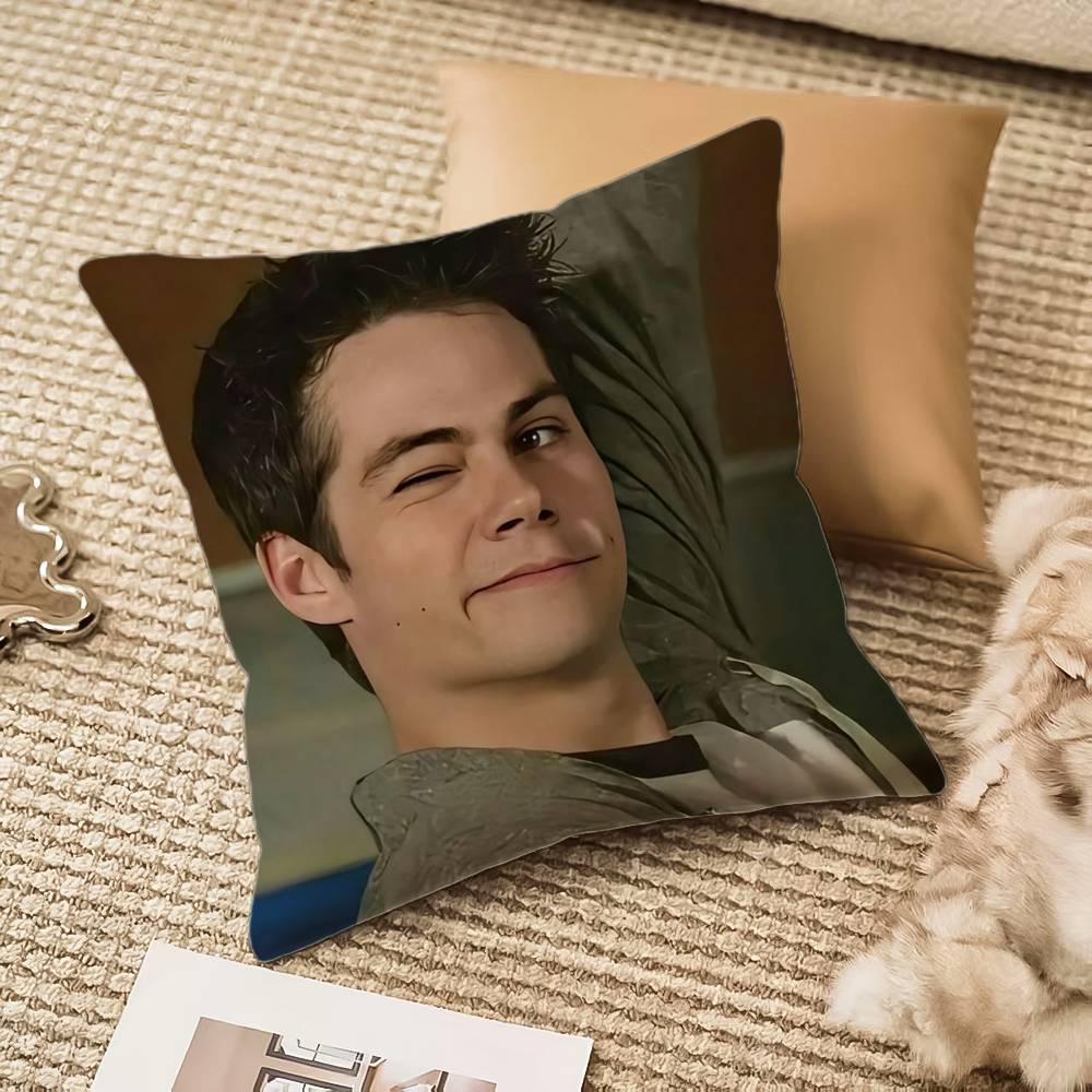 D-Dylan O Brien Pillow Case Anti-dustmite Invisible zipper Sofa Bed