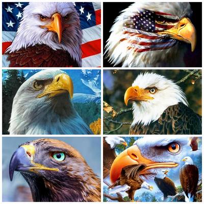 5D Diamond Art Kits Animal Rhinestones Diamond Painting Embroidery Eagle Pictures Of Rhinestones Mosaic Handmade Gift