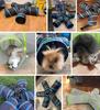 Pawaboo Cat Tunnel, 5-Way Spiral Cat Tunnel with 1 Hole, Foldable Cat Play Toy, Gray & Green