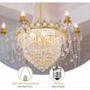 E14 28W Halogen Candle Bulb Dimmable, Clear Glass C35 E14 SES Small Edison Screw Bulb, Halogen Candle Bulb for Chandelier, 230V, 5-Pack