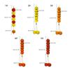 Marigold Hanging Ornament Artificial Marigold Garlands for Decorations Indian/American Wedding Mantles Party Decoration