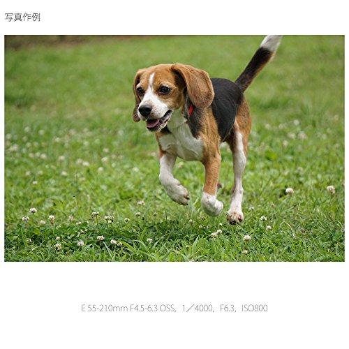 Sony Telephoto Zoom Lens E 55-210mm F4.5-6.3 OSS for Sony E Mount APS-C Only SEL55210