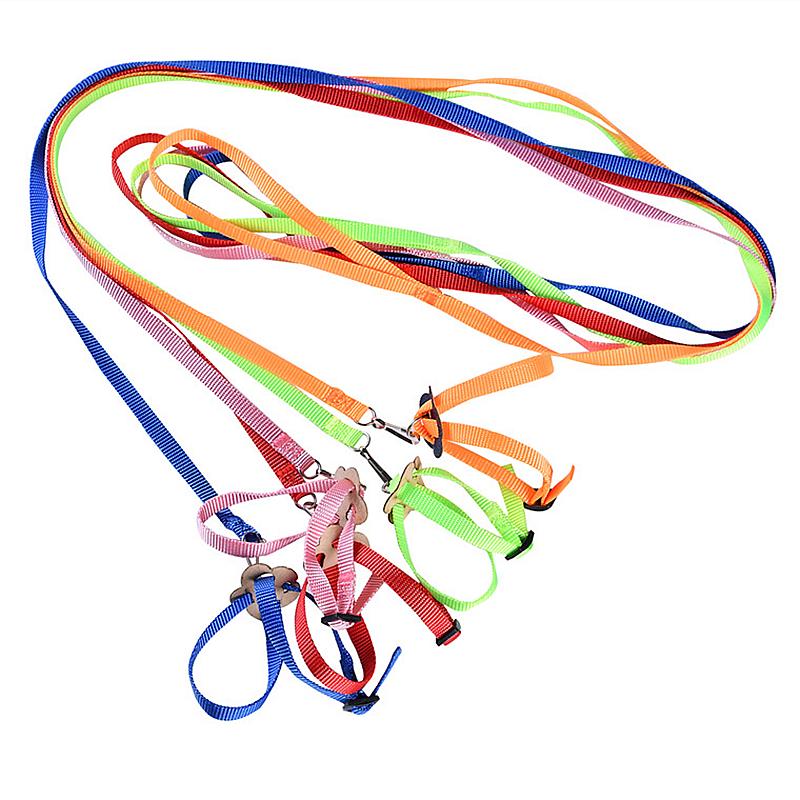 Papagei Vogel Hamster Schildkröte Eidechse Leine Outdoor Fliegende Zugleinen Verstellbares Anti-Biss Trainingsseil Vogel Trainingszubehör