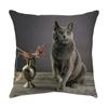 Cute Cat Pillowcase Car Ornaments Living Room Office Home Pillowcase