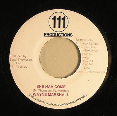 7 collu plate WAYNE MARSHALL / FRESH MONEY - She Nah Come / Horny Anyone NONE 111 Productions 2008 Jamaika Reggae, Ska & Dub Lietota