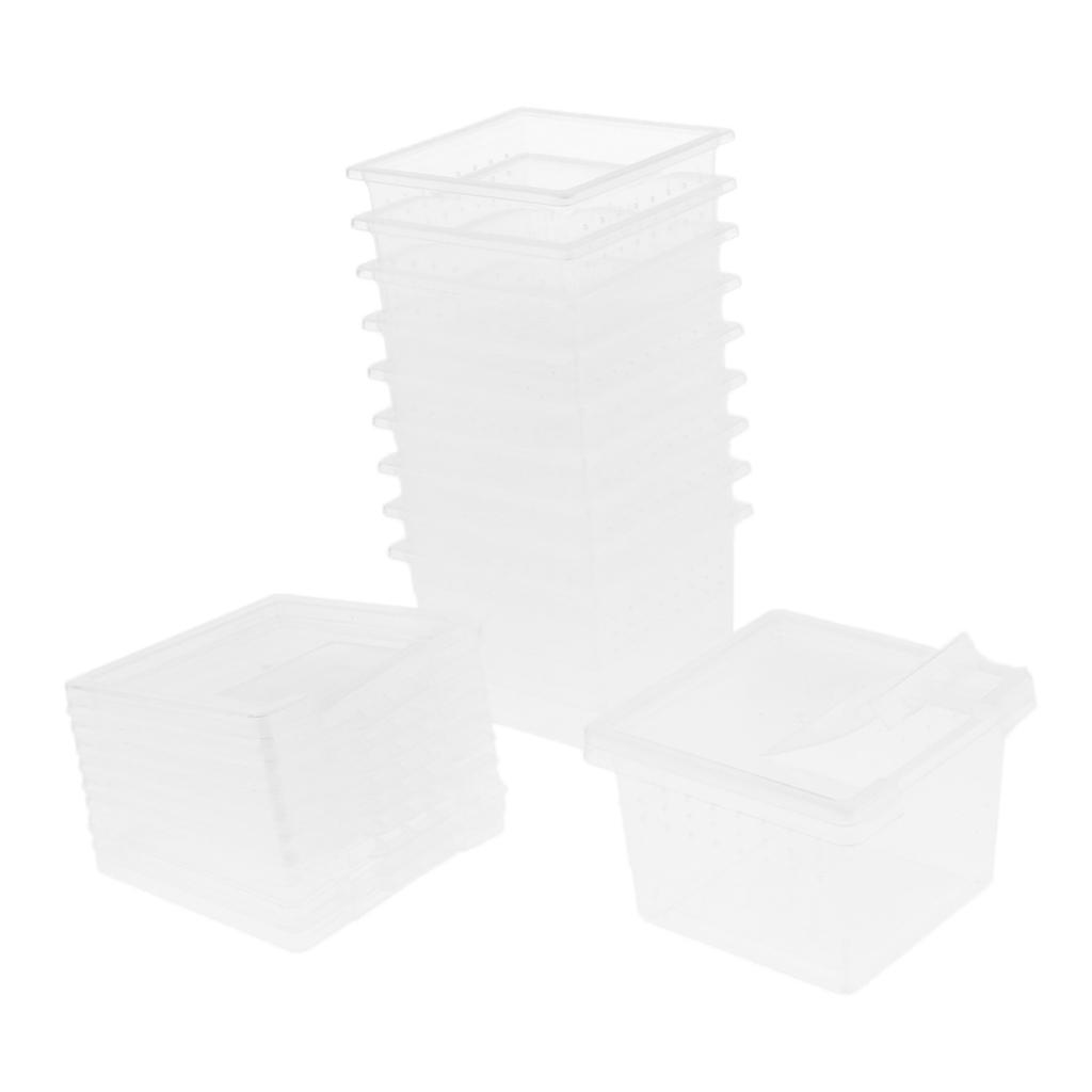 10 Pcs Insect Reptile Spider Terrariums Breeding Box Hatching Containers
