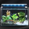 Betta Fish Bed Betta Fish Leaf Pad With Suction Cup Artificial Plant For Shrimp Guppy Sleeping Playing Hiding Spawning Habitat
