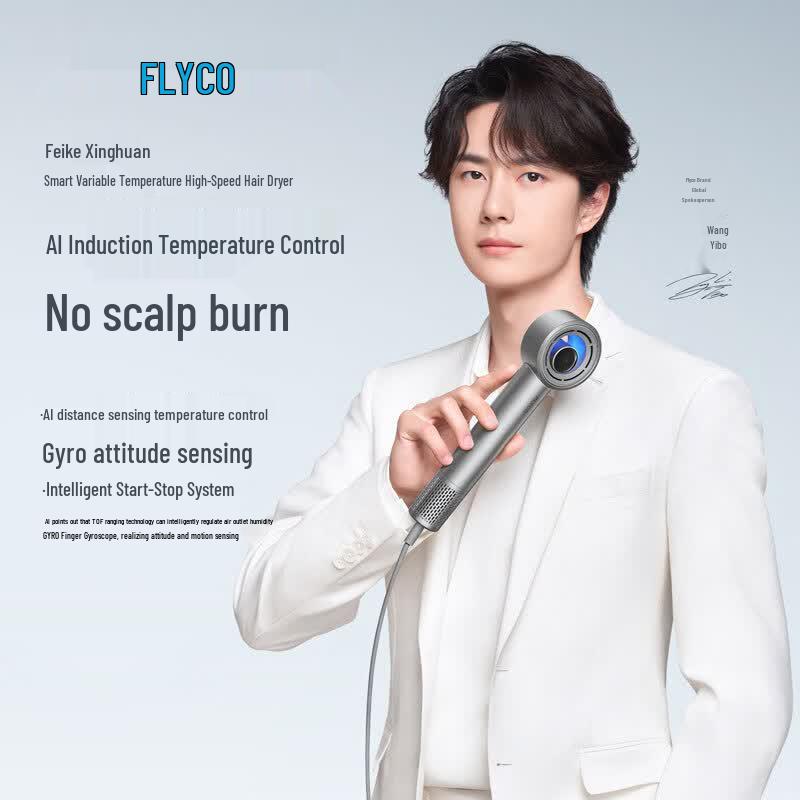 FLYCO H6 Star Ring High-Speed Hair Dryer CN plug (adapter included)