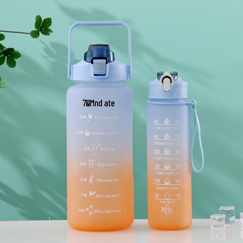 Two-Piece Gradient Plastic Water Cup with Straw - Large Capacity Space Cup