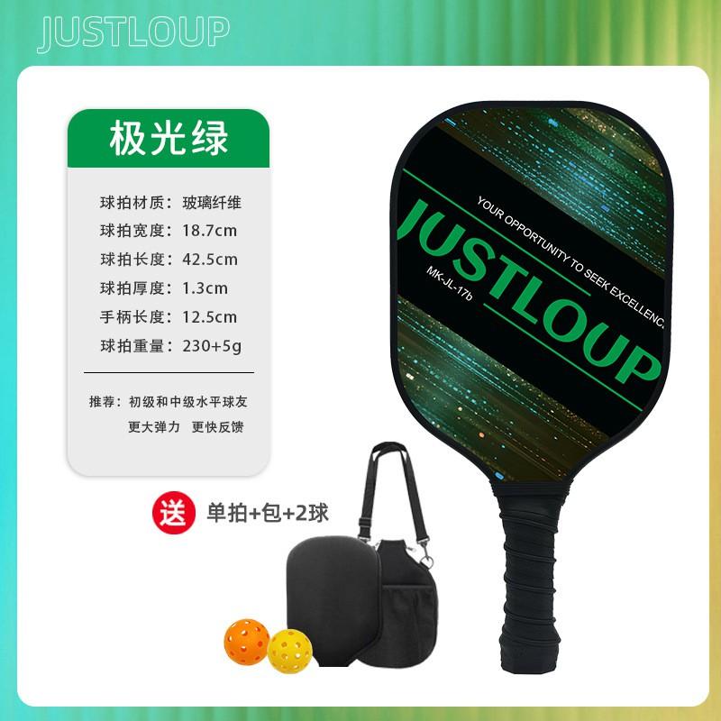 Professional Fiberglass Pickleball Paddle Set USAPA Approved Indoor Outdoor Game