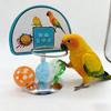 Parrot Basketball Hoop Interactive Intelligence Toy Skill Training Prop Metal Basketball Stand for Cockatiel Monk Peony Parrot
