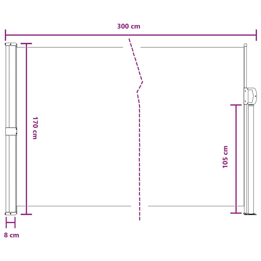 Retractable Side Awning Anthracite 300 x 170 cm Polyester