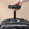 Rechargeable 50kg Handheld Luggage and Fishing Scale