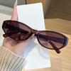 Vintage Y2K Stylish Women Sunglasses Cat Eye Shape UV Protection Men Sun Glasses Unisex Hiking Driving Sunglasses